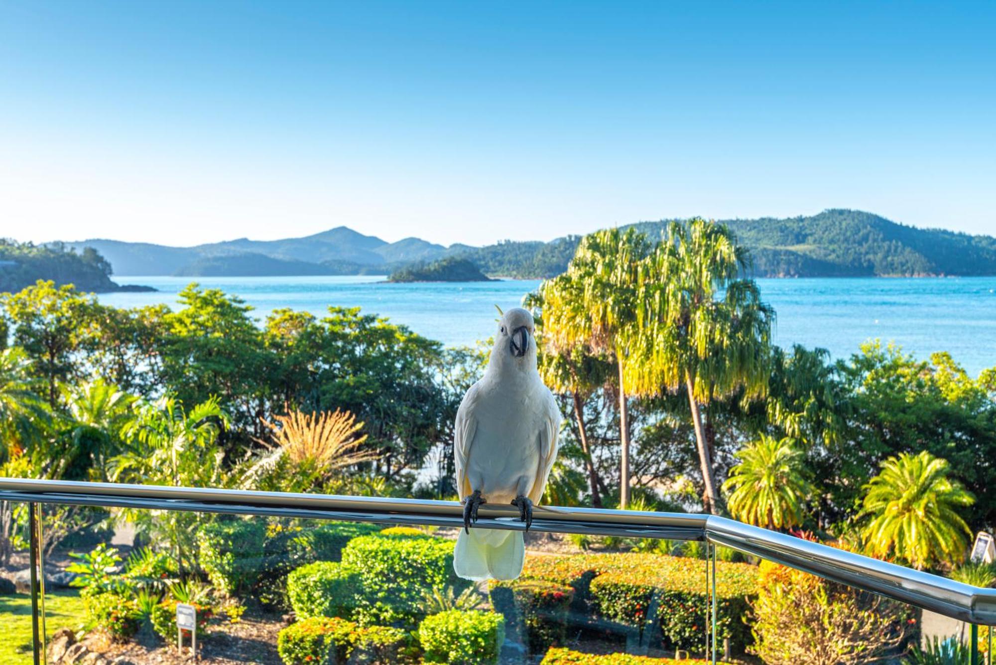 Lagoon Apartments On Hamilton Island By Hiha Eksteriør bilde